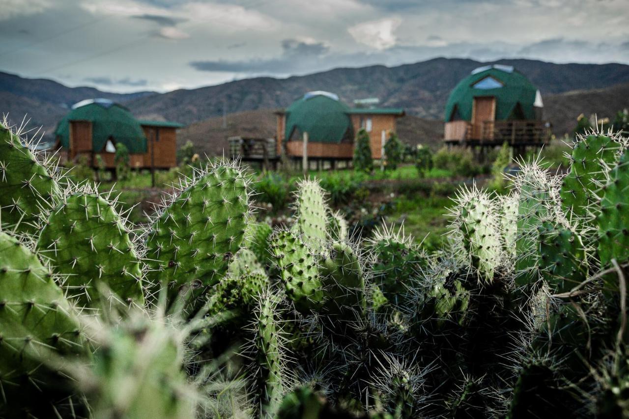 Los Nopales Glamping Sáchica Eksteriør billede