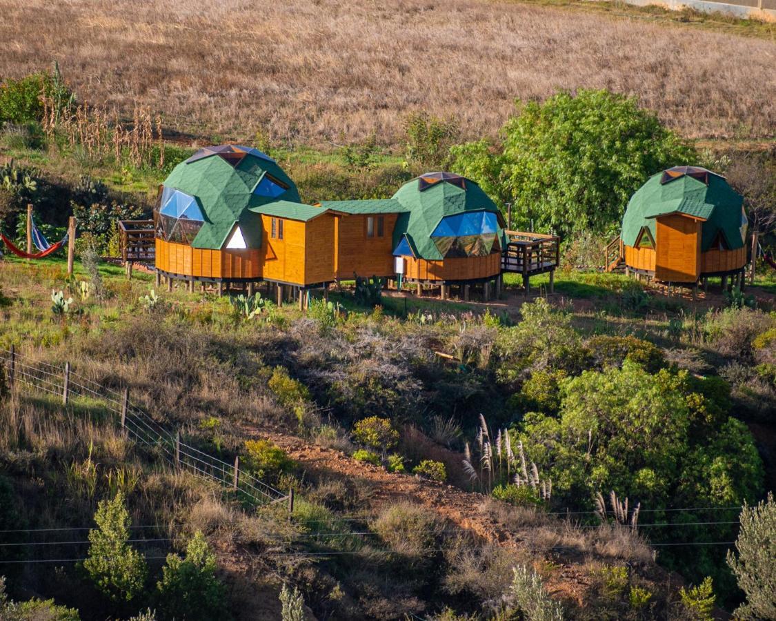 Los Nopales Glamping Sáchica Eksteriør billede