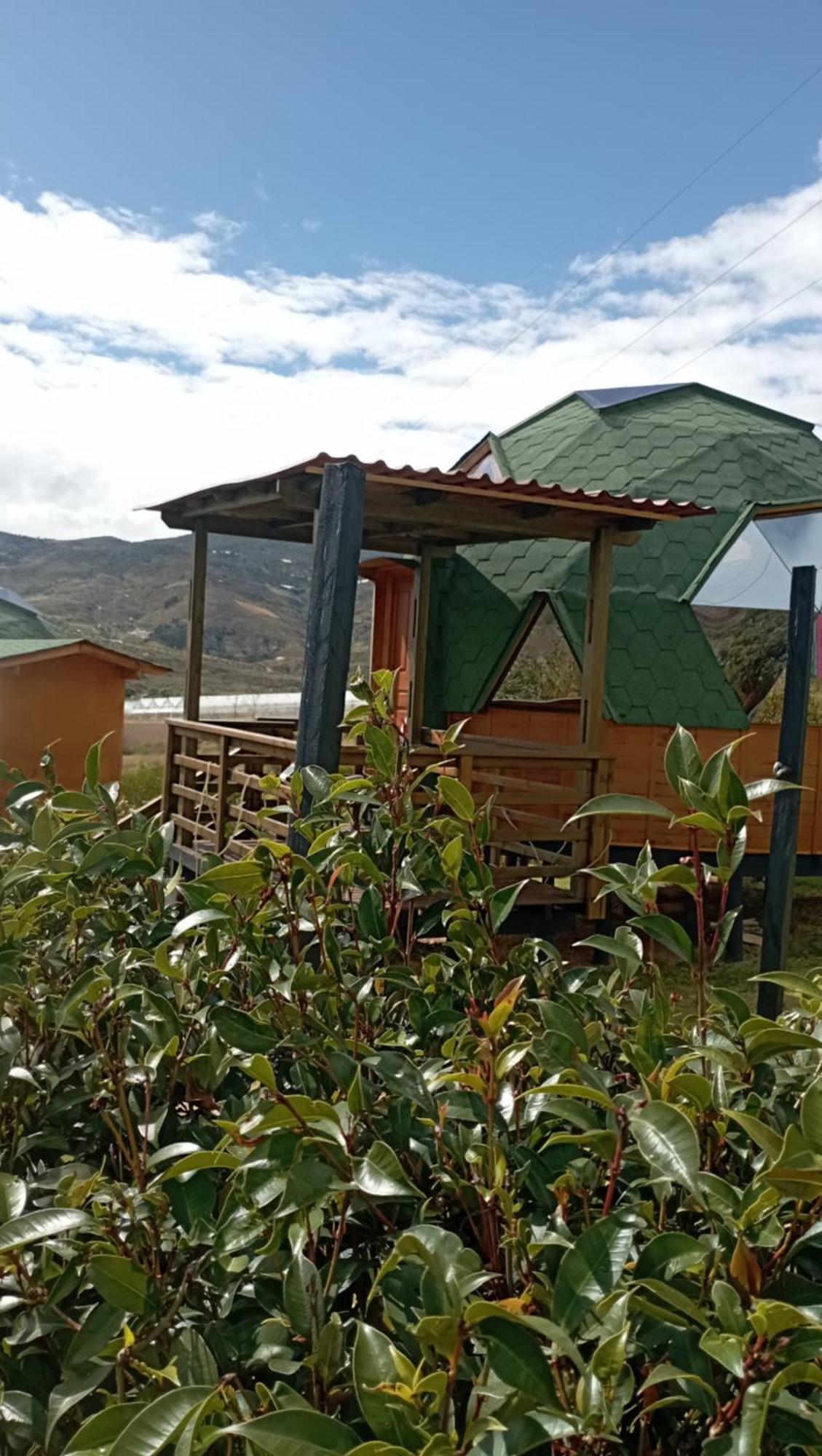 Los Nopales Glamping Sáchica Eksteriør billede